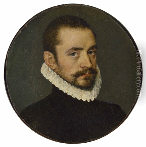 Portrait Of A Gentleman, Bust-length, In A Black Doublet And White Ruff Oil Painting - Antonis Mor Van Dashorst