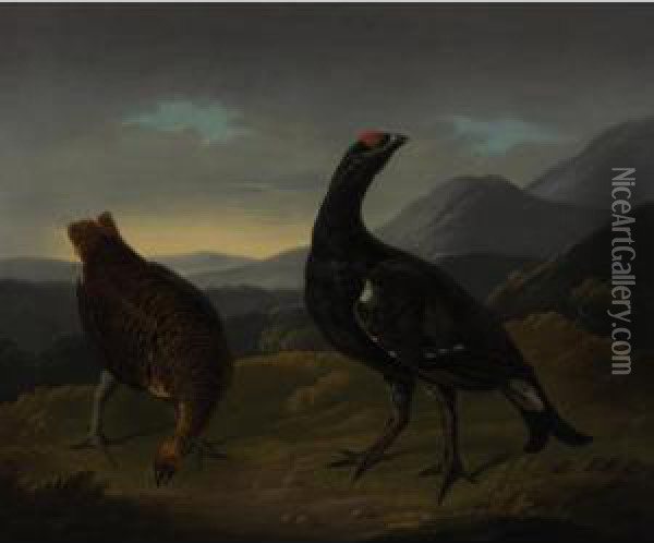 Black Cock And Grey Hen Oil Painting - Stephen Elmer