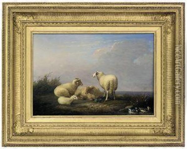 Sheep Resting Beside Some Ducks Oil Painting - Franz van Severdonck