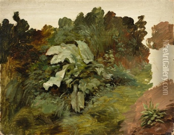 Pflanzenstudie Oil Painting - Josef Selleny