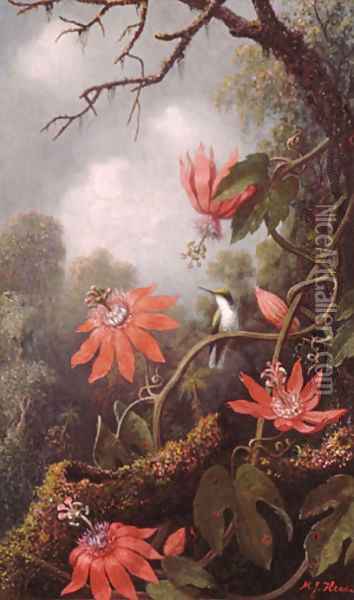 Hummingbird and Passionflowers Oil Painting - Martin Johnson Heade