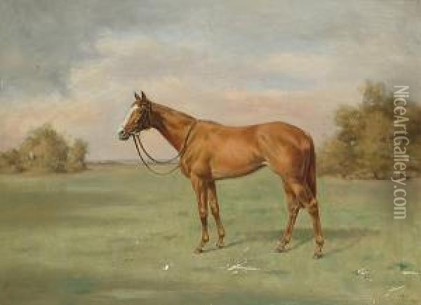 Portait Of A Chesnut Mare In A Landscape Oil Painting - Isaac Cullin