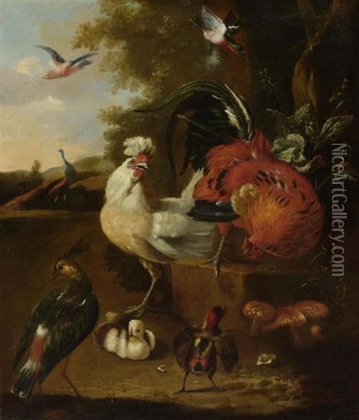 Stilleben Mit Vogelvieh Oil Painting - Melchior de Hondecoeter