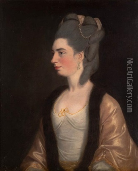 Portrait Of A Noblewoman (18th Century) Oil Painting - Francis Cotes