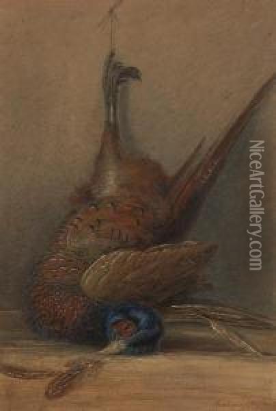 Pheasant In The Larder Oil Painting - George Sidney Shepherd