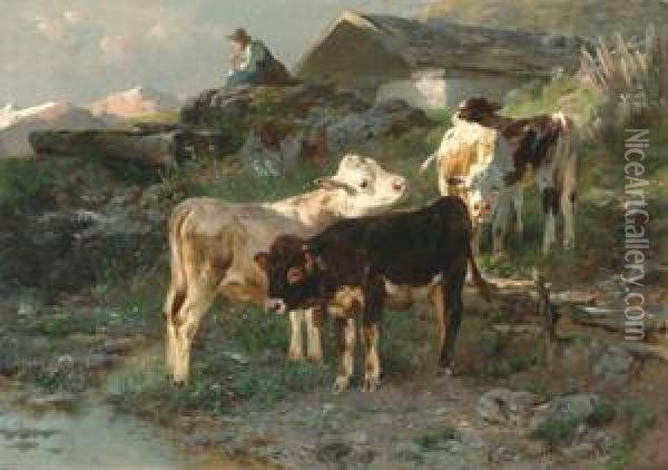 Calves By A Stream In Sunlight Oil Painting - Anton Braith