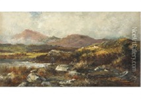 Near Malan, North Wales Oil Painting - David Bates
