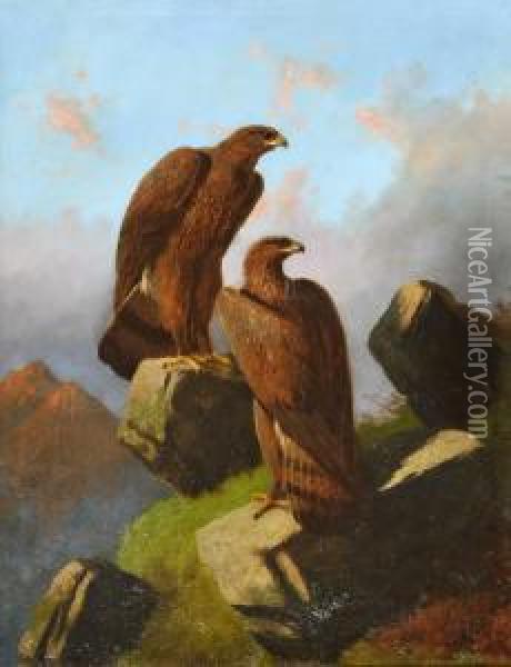 Two Golden Eagles Perched Upon Rocks Oil Painting - Robert Henry Roe