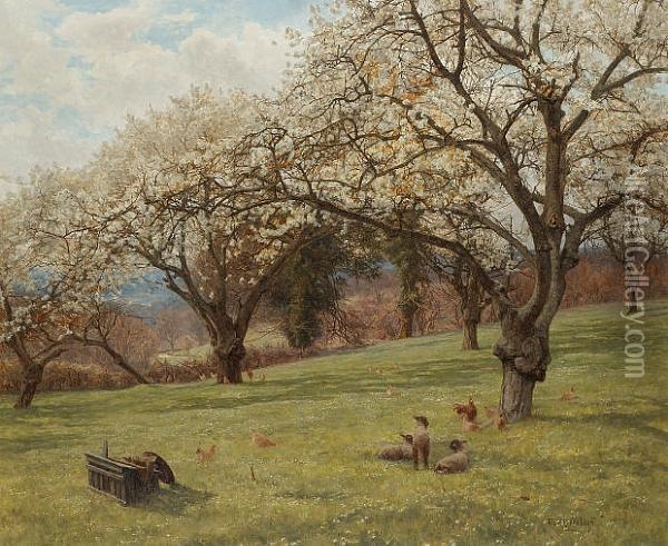 The Cherry Orchard Oil Painting - Frank Walton