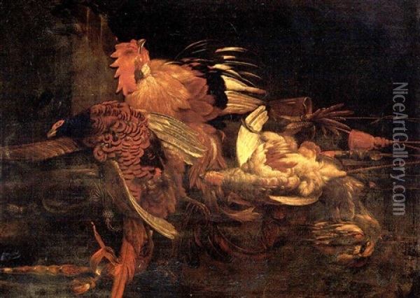 A Dead Cockerel And Game Birds Suspended By String With A Pheasant And A Falcon's Hood On A Ledge Oil Painting - Willem Van Aelst