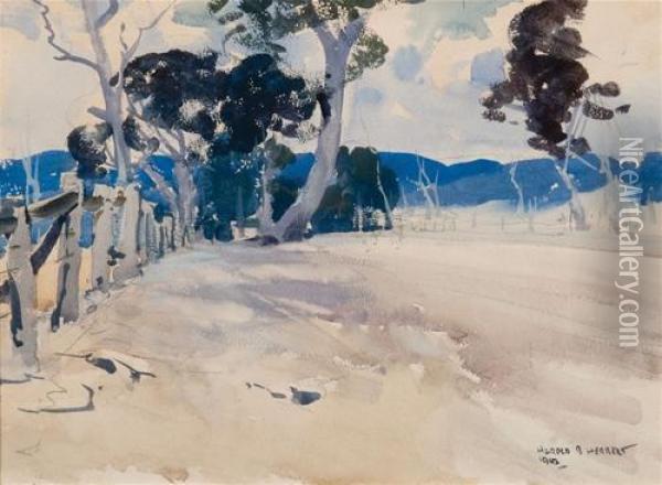 One Of The Back Roads Leading To Seymour And Puckapunyal Camp Oil Painting - Harold Brocklebank Herbert