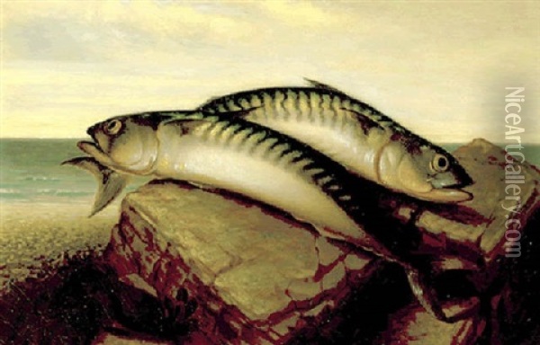 Prize Catch Oil Painting - Hannah B. Skeele