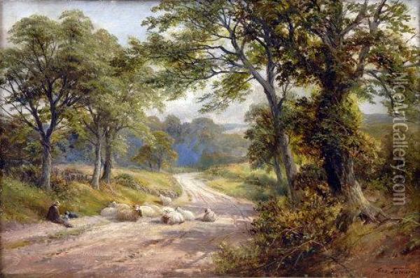 Sunshine In The Lane, Near Breadsall, Derbyshire Oil Painting - George Turner