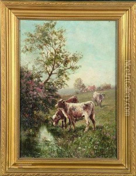 Calves In A Meadow Drinking From A Stream Oil Painting - John Falconar Slater