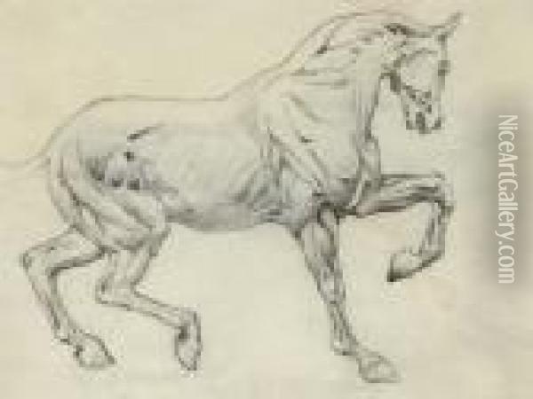 Ecorche Figure Of A Horse Oil Painting - Sir Edward Coley Burne-Jones