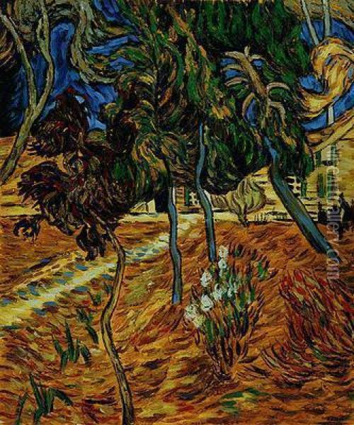 Trees In The Garden Of St. Paul Hospital Oil Painting - Vincent Van Gogh