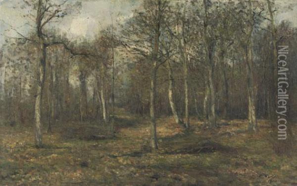 Im Birkenhain Oil Painting - Rudolf Hockner