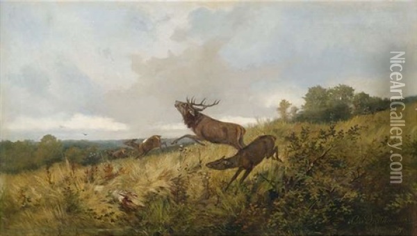 Rotwild In Herbstlicher Landschaft Oil Painting - Christoffer Johann Drathmann