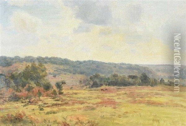 View Of The New Forest Oil Painting - Carlile Henry Hayes Macartney