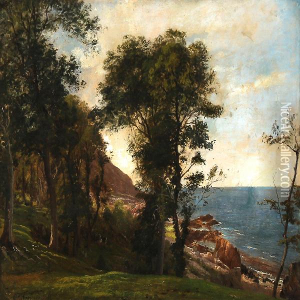 Summer Day At A Coast Oil Painting - Carl Frederick Aagaard