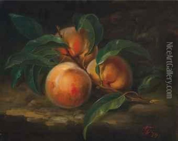Still Life With Peaches Oil Painting - George Forster