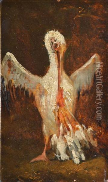 Pelican Et Ses Petits Oil Painting - Felix Ziem