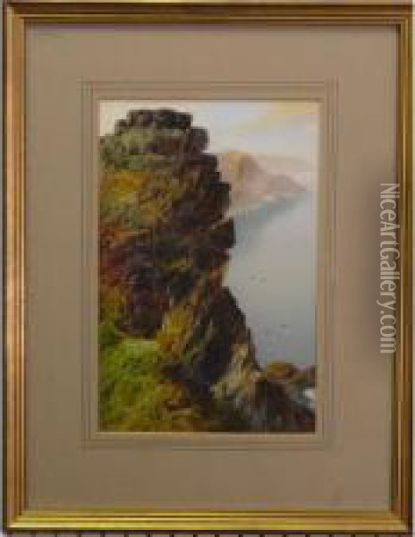 Rocky Outcrop On A Cliff In A West Country Coastal Landscape Oil Painting - John Shapland
