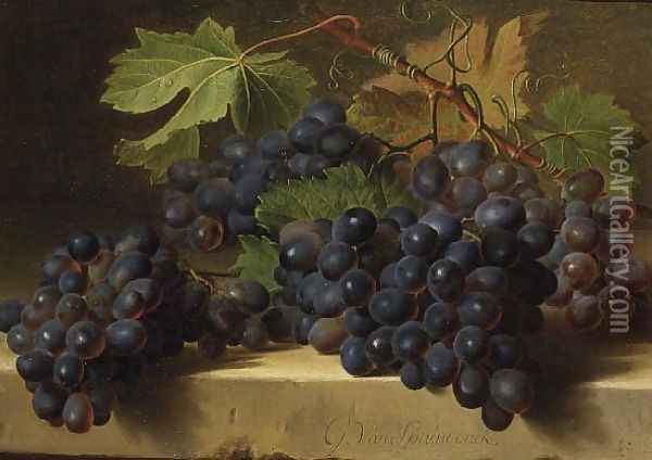 A Still Life of Grapes Resting on a Marble Ledge Oil Painting - Gerard Van Spaendonck