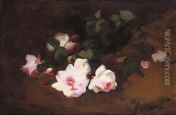 Still Life Of Pink Roses Oil Painting - Stuart James Park
