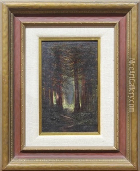 Redwood Scene I Oil Painting - Jules Tavernier