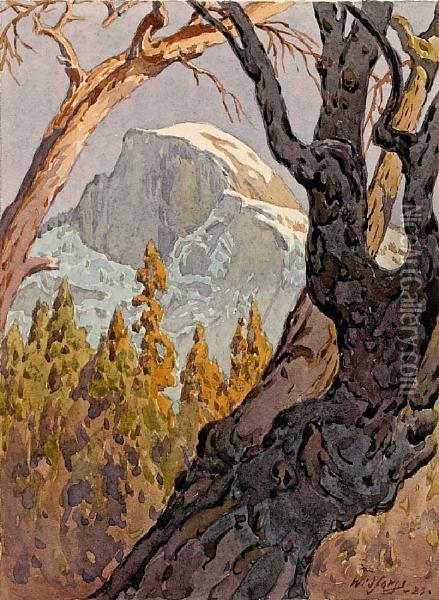 A View Of Half Dome Oil Painting - Gunnar M. Widforss