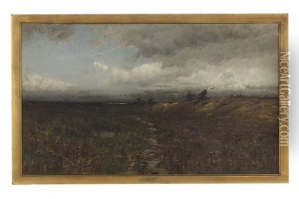 Storm Clouds Over The Marsh Oil Painting - M. de Forest Bolmer