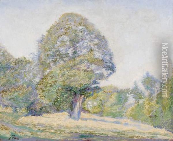 Le Bois D'amour A Pont Aven, Circa 1900 Oil Painting - Jacinthe Pozier