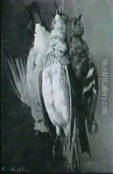 Drei Erlegte Vogel, An Schnuren Hangend Oil Painting - Michael Johann Schnitzler