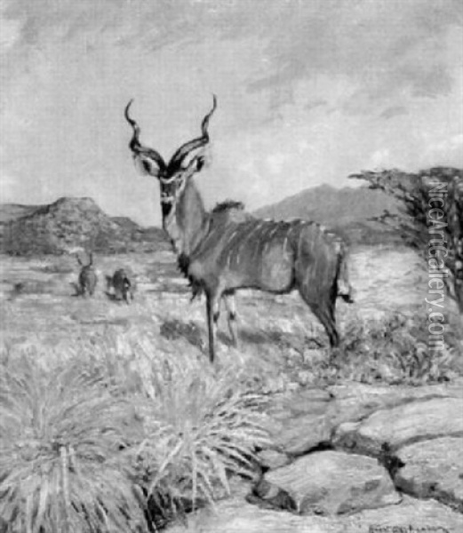 Kudu-antilope In Afrikanischer Landschaft Oil Painting - Hans Anton Aschenborn