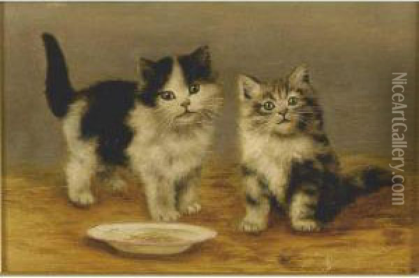 Two Kittens And Bowl Tea Time Oil Painting - Bessie, Betsie Bamber