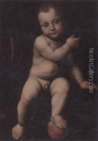 The Infant St. John Oil Painting - Bernardino Luini