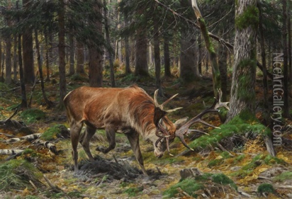 Deer In A Forest Glade Oil Painting - Richard Bernhardt Louis Friese