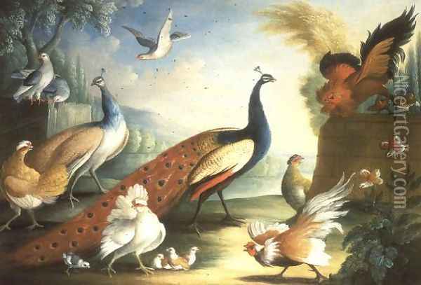 Two Peacocks Doves Chickens and a Rooster in a Parkland Oil Painting - Marmaduke Craddock