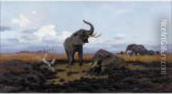 In The Twilgiht, Elephants Oil Painting - Wilhelm Kuhnert