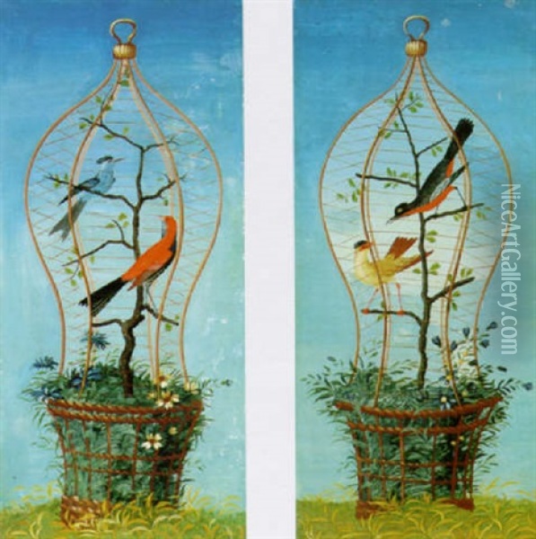 Uccellini In Gabbia Oil Painting - Vittorio Raineri