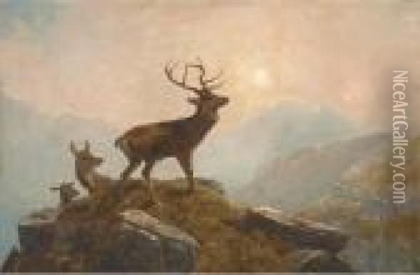 Stags In A Highland Landscape Oil Painting - Clarence Roe