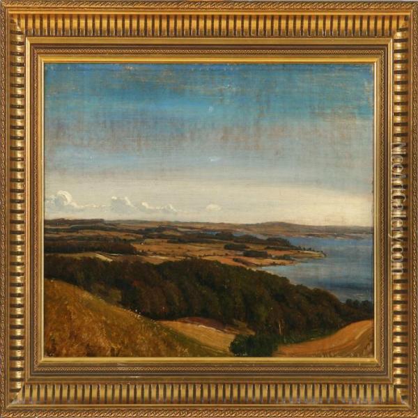 Landscape From South Jutland Oil Painting - Wilhelm Zillen