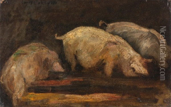 Fressende Schweine Oil Painting - Lovis Corinth