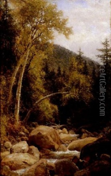 Lafayette Brook, Lafayette Mountain, White Mountains, New Hampshire Oil Painting - Henry A. Ferguson