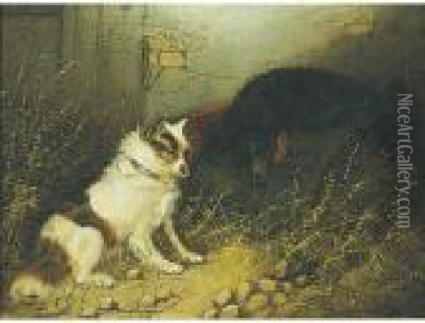 Terriers Ratting: A Pair Of Paintings Oil Painting - George Armfield