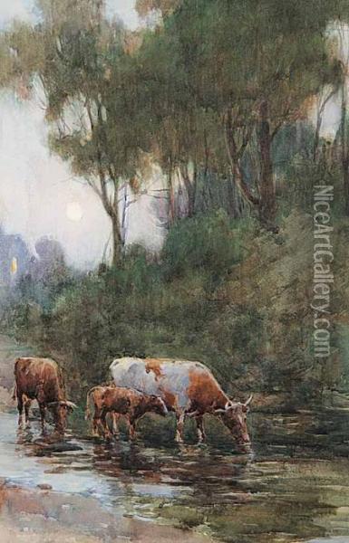 Untitled - Cows At Dusk Oil Painting - Farquhar Mcgillivr. Knowles