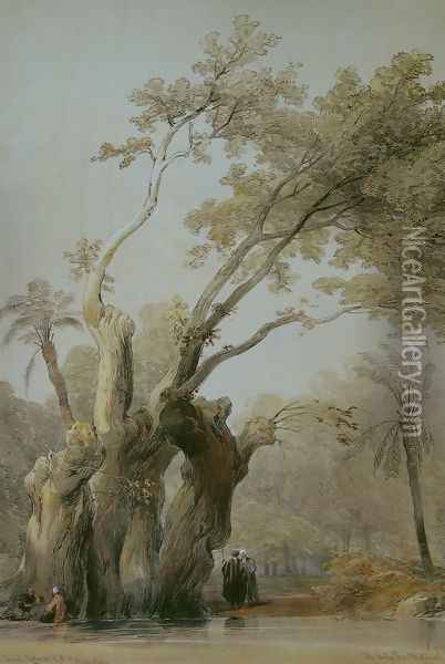 The holy tree of Metereah Oil Painting - David Roberts