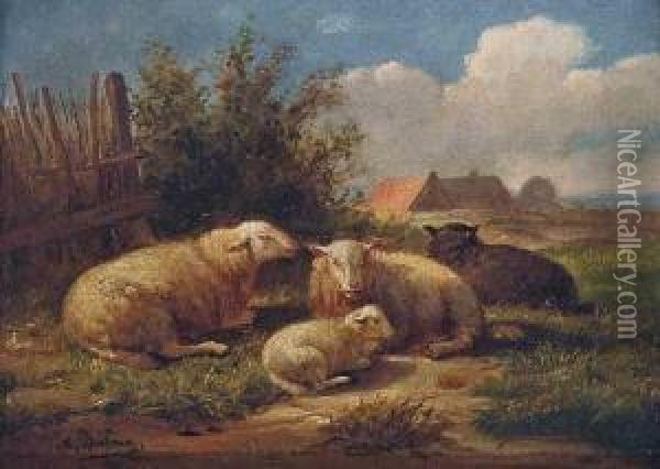 Schafe Auf Der Weide / Schafe Im Stall Oil Painting - Auguste Bonheur