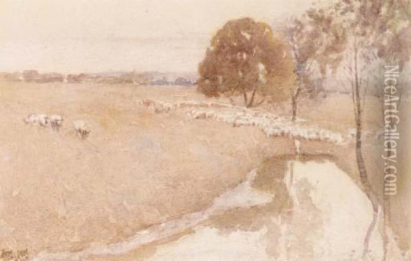 Sheep Near A Billabong Oil Painting - Walter Withers